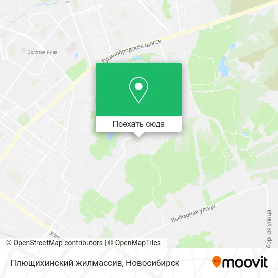 Карта Плющихинский жилмассив