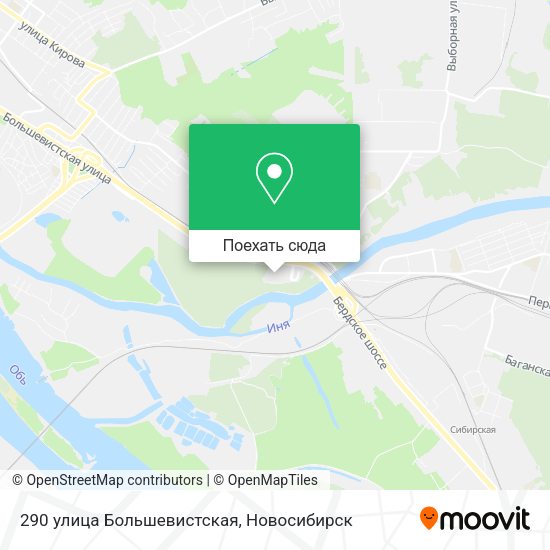 Карта 290 улица Большевистская