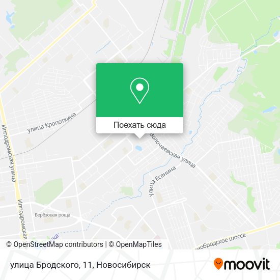 Карта улица Бродского, 11