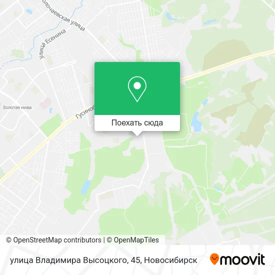 Карта улица Владимира Высоцкого, 45