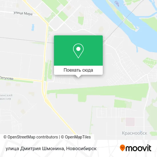 Карта улица Дмитрия Шмонина