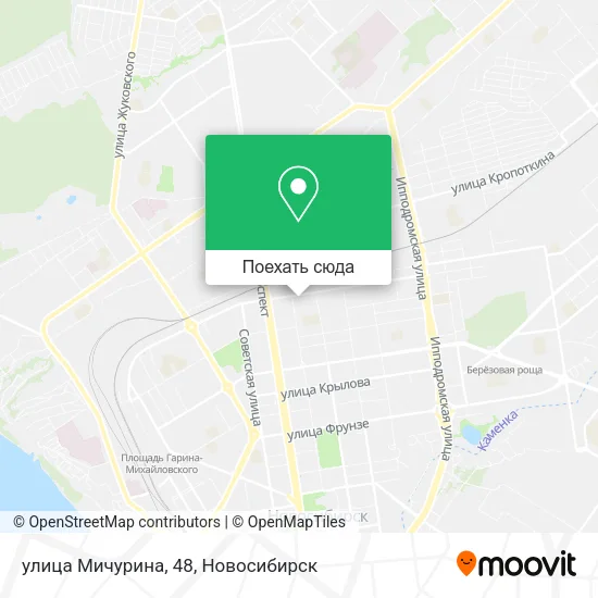 Карта улица Мичурина, 48