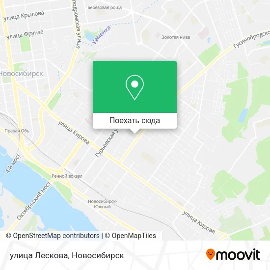 Карта улица Лескова