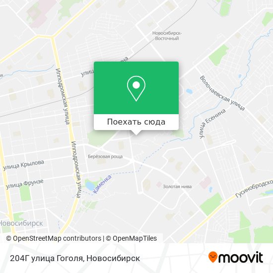 Карта 204Г улица Гоголя