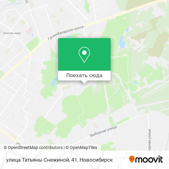 Карта улица Татьяны Снежиной, 41