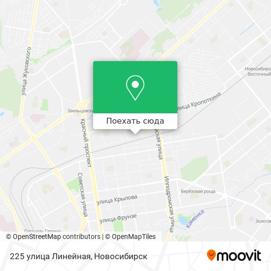 Карта 225 улица Линейная