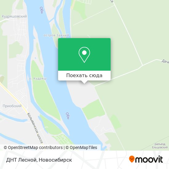 Карта ДНТ Лесной