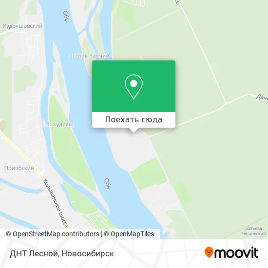 Карта ДНТ Лесной