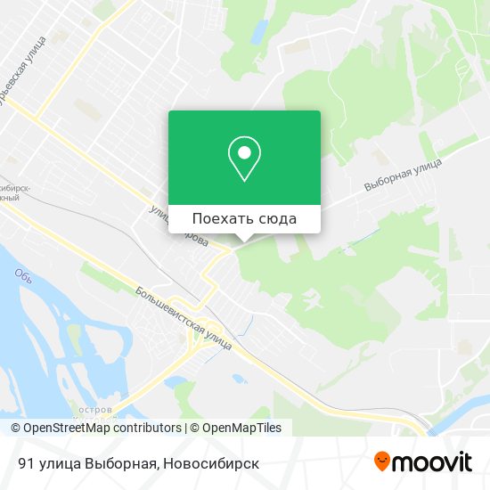 Карта 91 улица Выборная