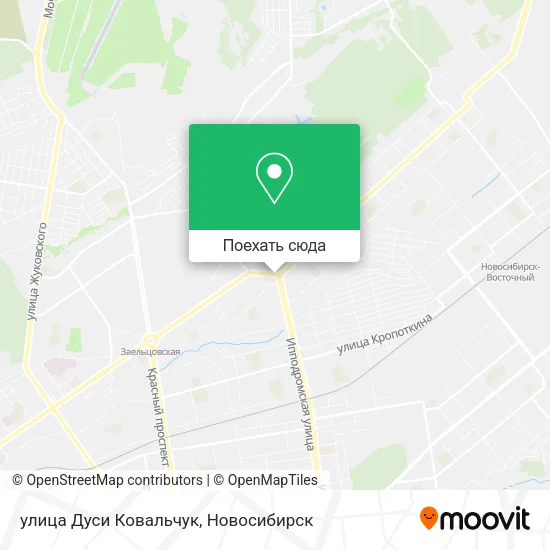 Карта улица Дуси Ковальчук