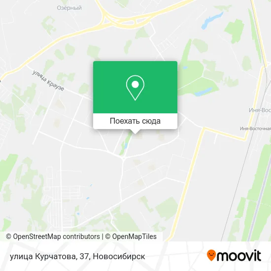 Карта улица Курчатова, 37