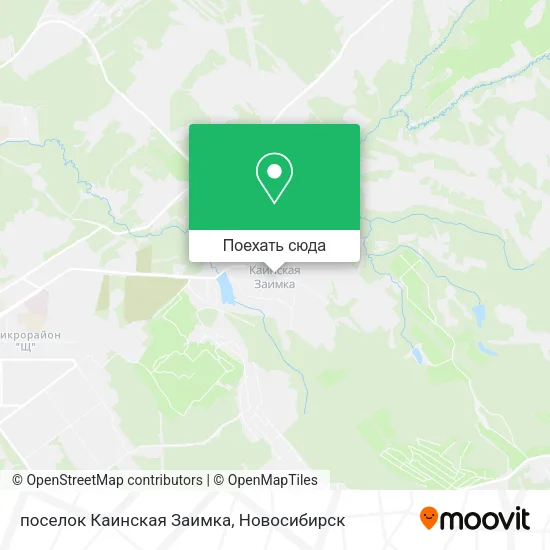 Карта поселок Каинская Заимка