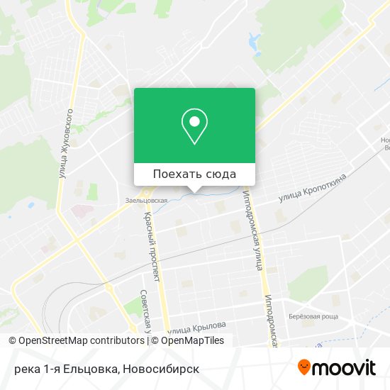 Карта река 1-я Ельцовка