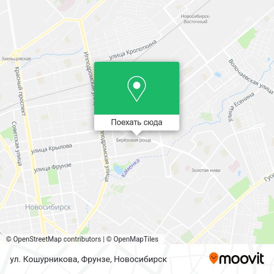 Карта ул. Кошурникова, Фрунзе