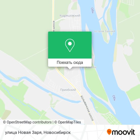 Карта улица Новая Заря