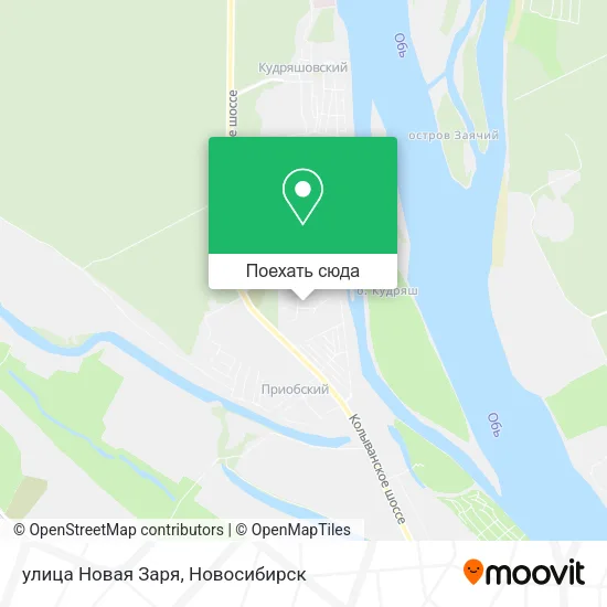Карта улица Новая Заря