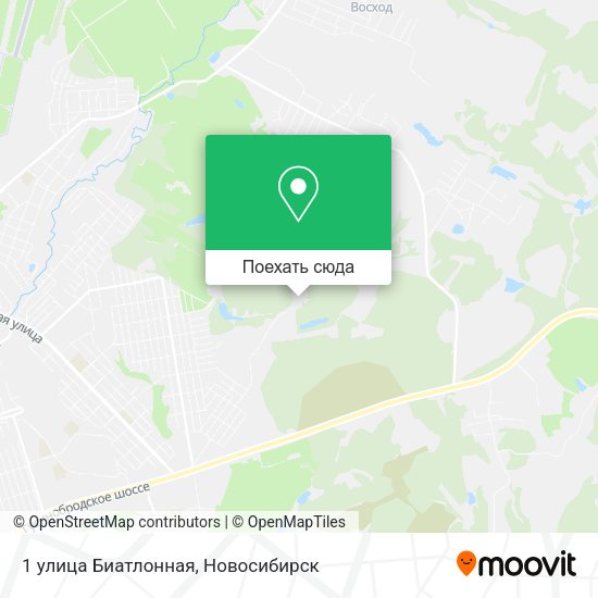 Карта 1 улица Биатлонная