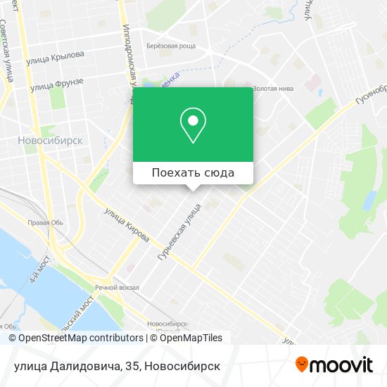 Карта улица Далидовича, 35