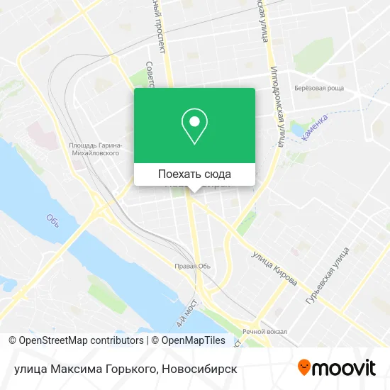 Карта улица Максима Горького