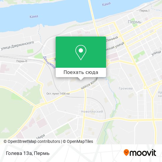 Карта Голева 13а