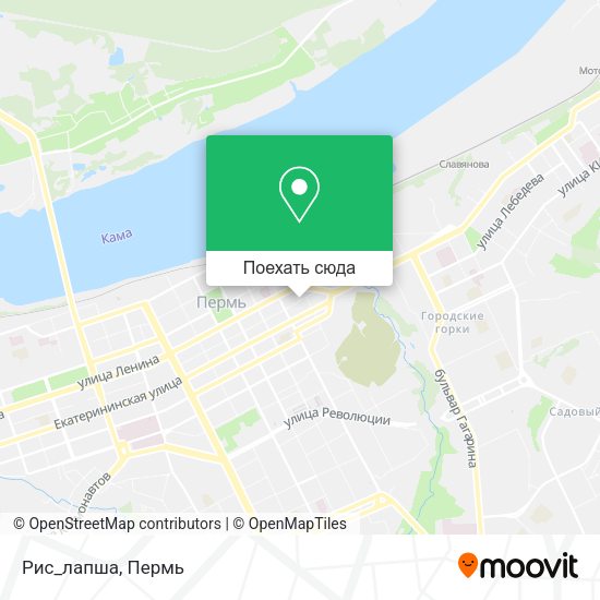 Карта Рис_лапша