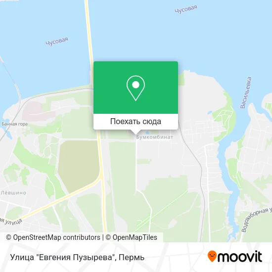 Карта Улица "Евгения Пузырева"