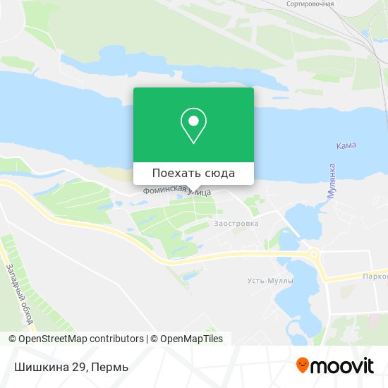 Карта Шишкина 29