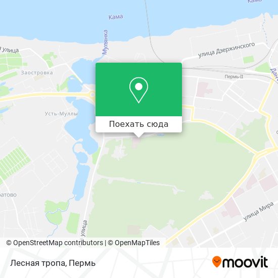 Карта Лесная тропа