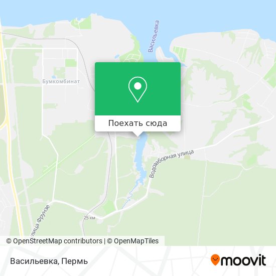 Карта Васильевка