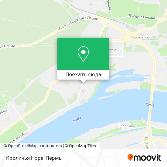 Карта Кроличья Нора