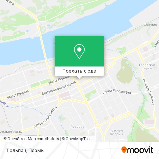 Карта Тюльпан