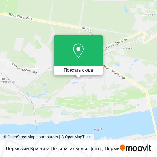 Карта Пермский Краевой Перинатальный Центр