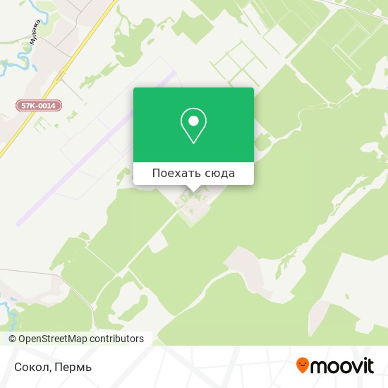 Карта Сокол