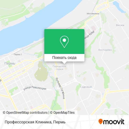 Карта Профессорская Клиника