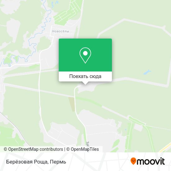 Карта Берёзовая Роща