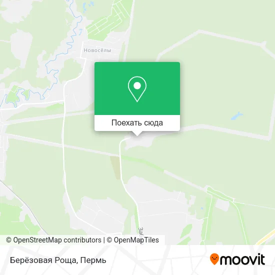 Карта Берёзовая Роща