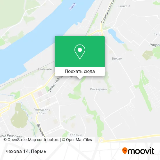 Карта чехова 14