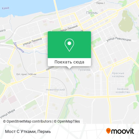 Карта Мост С Утками