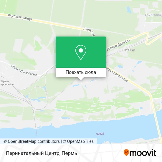 Карта Перинатальный Центр