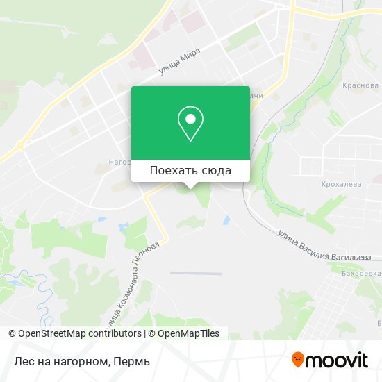 Карта Лес на нагорном