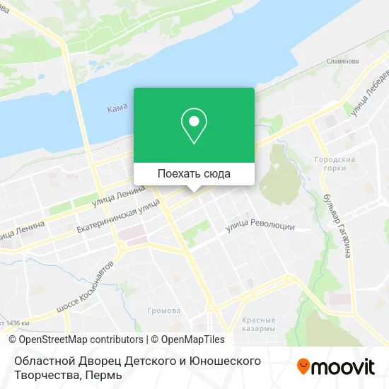 Карта Областной Дворец Детского и Юношеского Творчества