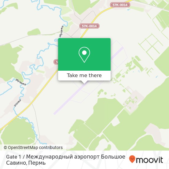 Карта Gate 1 / Международный аэропорт Большое Савино
