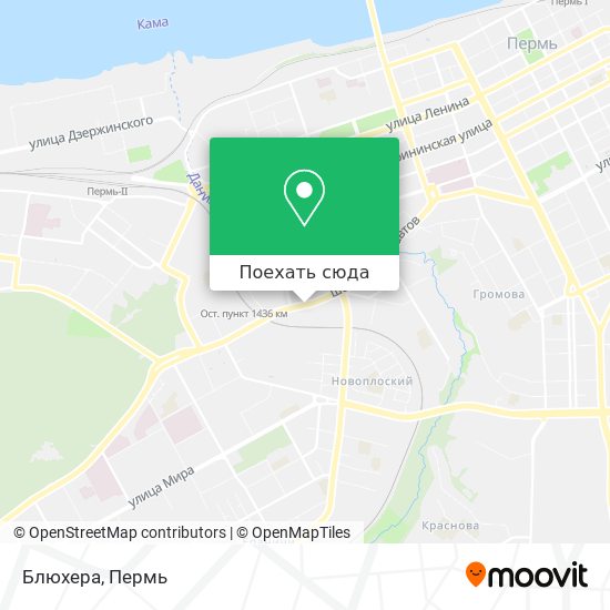 Карта Блюхера