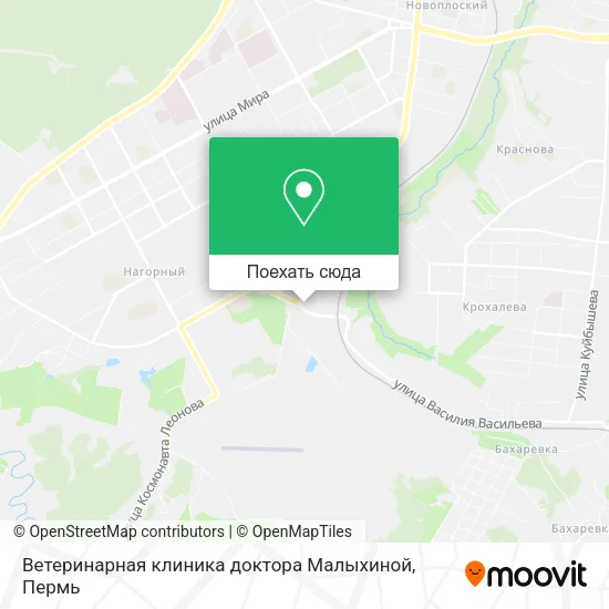 Карта Ветеринарная клиника доктора Малыхиной