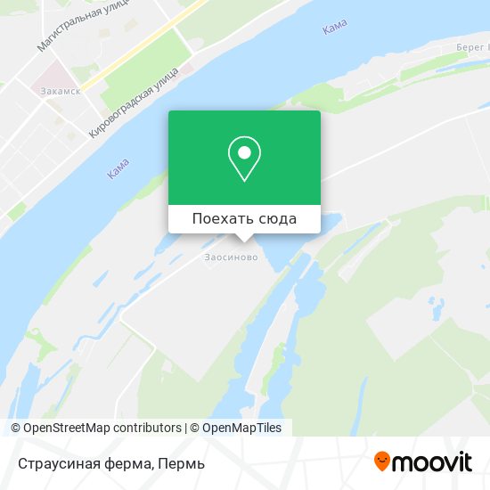Карта Страусиная ферма