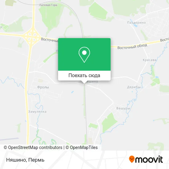 Карта Няшино