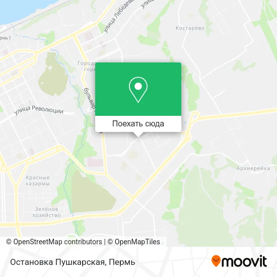 Карта Остановка Пушкарская