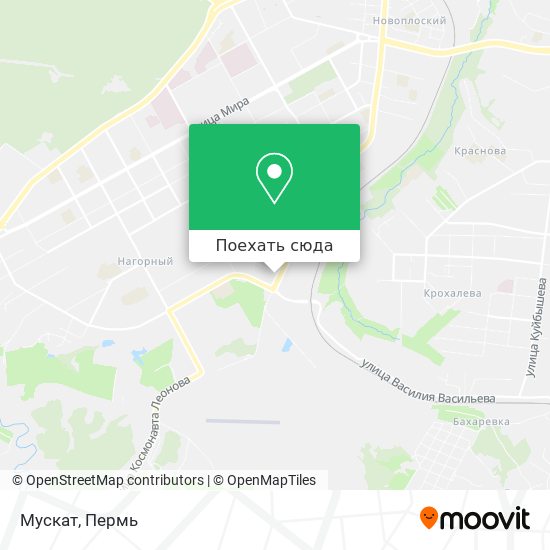 Карта Мускат