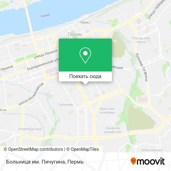 Карта Больница им. Пичугина
