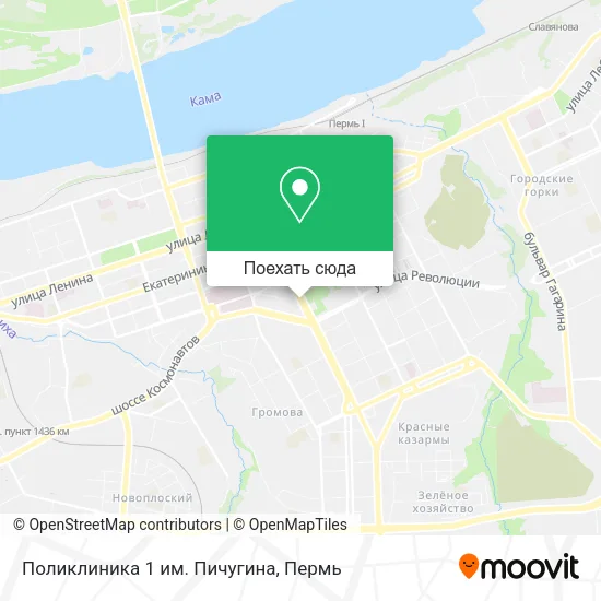 Карта Поликлиника 1 им. Пичугина